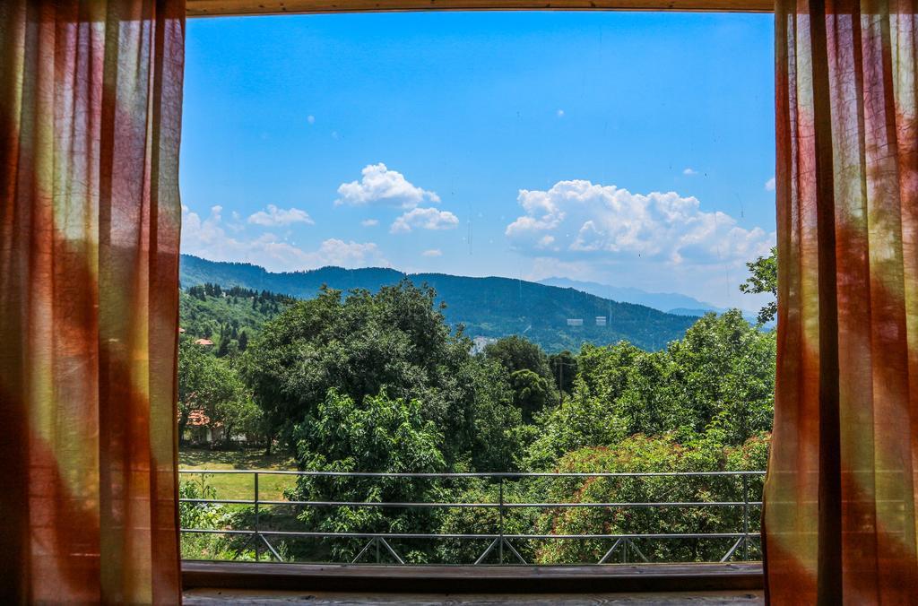 Hotel Elatofilito Athamanio Экстерьер фото