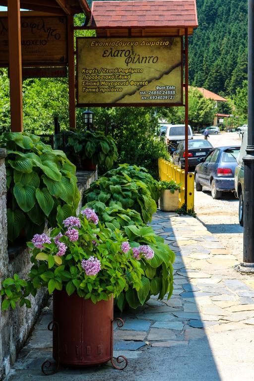 Hotel Elatofilito Athamanio Экстерьер фото