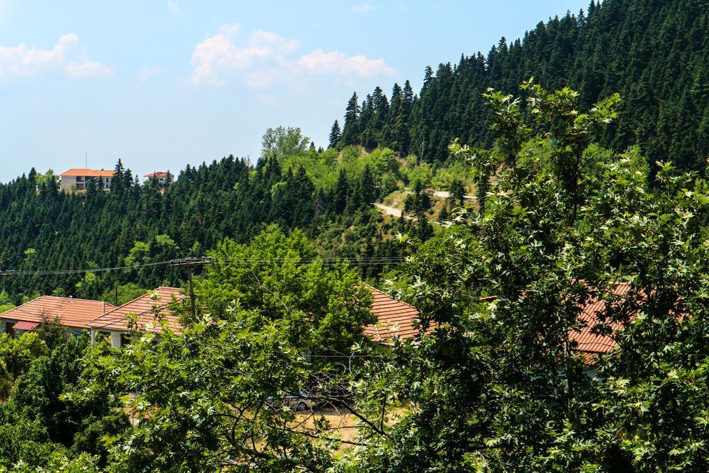 Hotel Elatofilito Athamanio Экстерьер фото